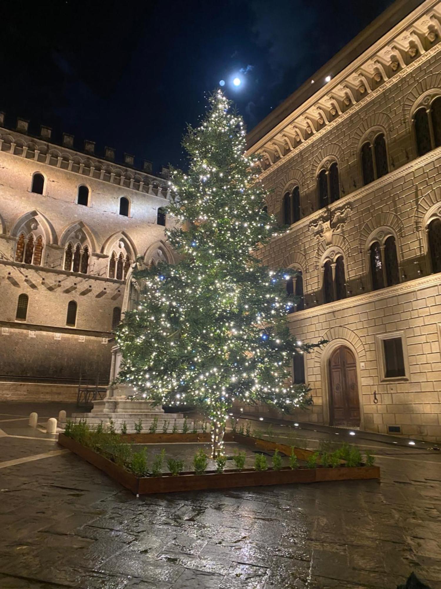Loft Vicolo Di Vallepiatta 2 Min Piazza Del Campo Con Parcheggio シエーナ エクステリア 写真